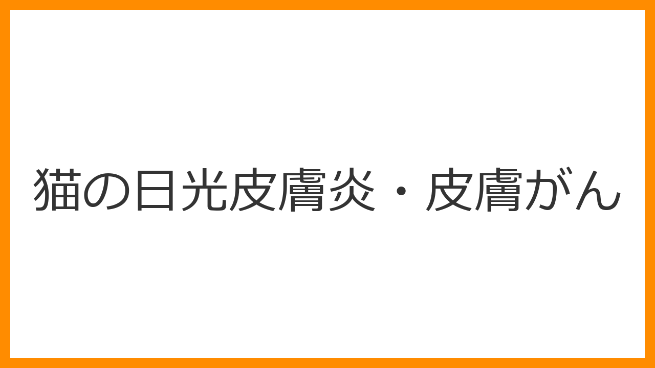 【猫の日光皮膚炎・皮膚がん】耳の先・鼻・まぶたが赤くなるのは紫外線ダメージのSOS！白猫の扁平上皮がんを予防する日焼け対策を解説