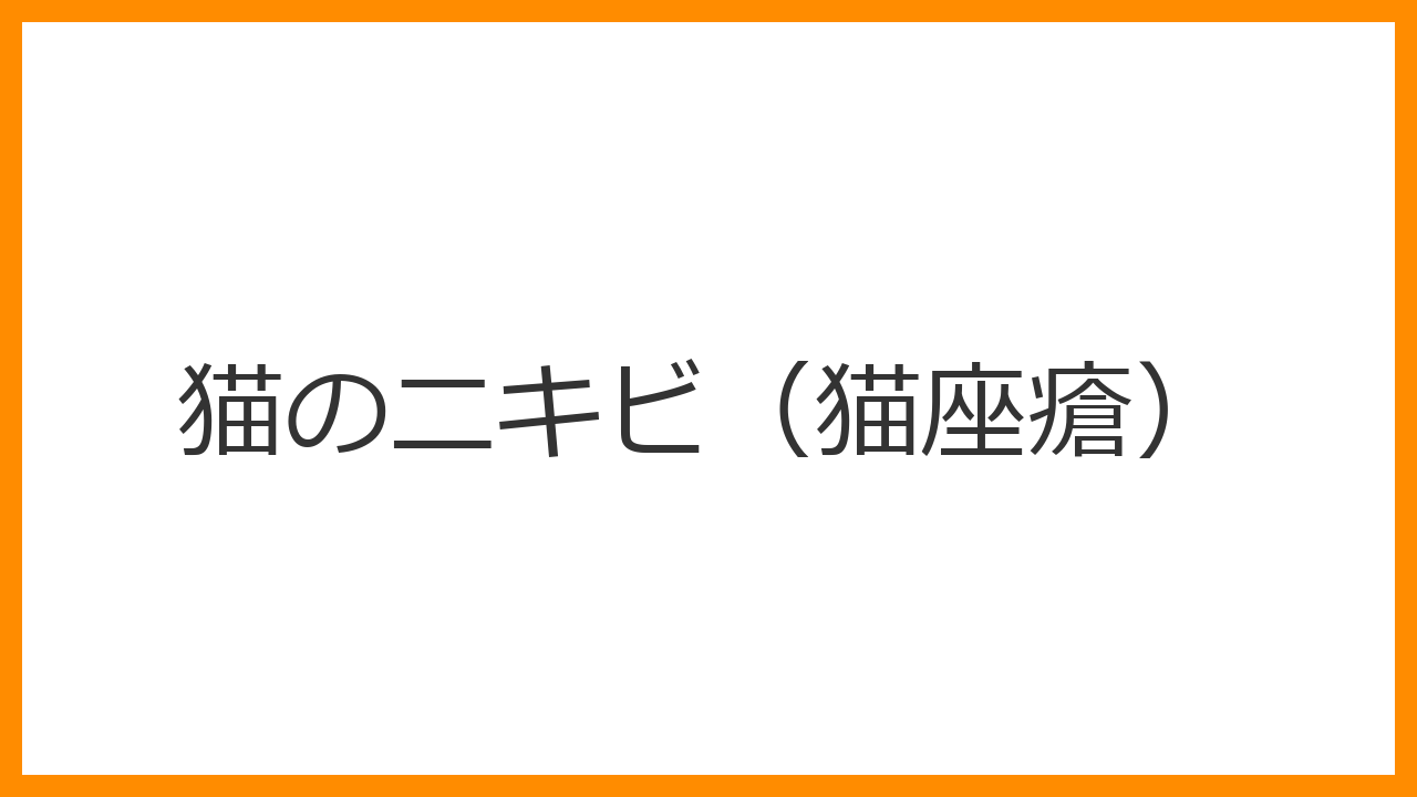 【猫のニキビ（猫座瘡）】下顎が黒くザラザラする・プラスチックの器が原因の皮膚炎？洗浄ケアと器の変更で改善できる