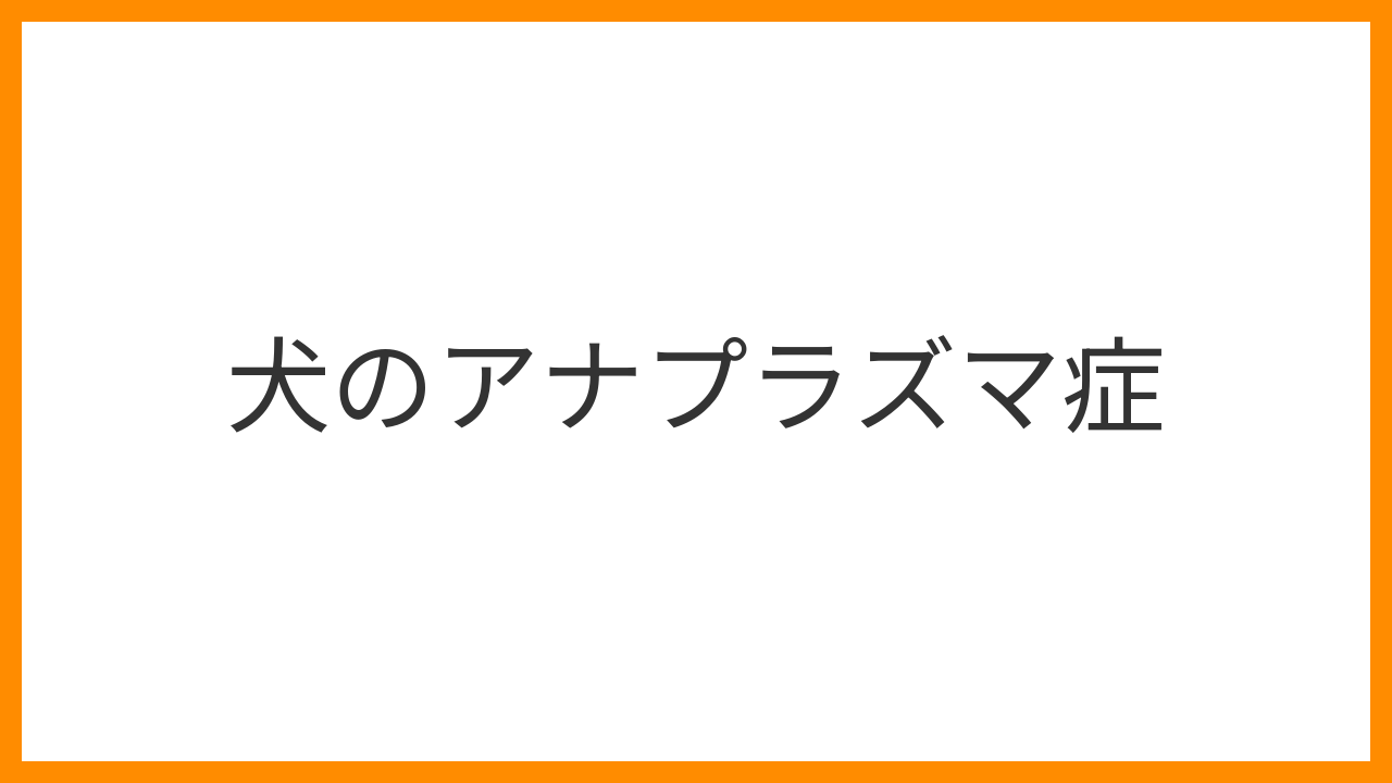 【犬のアナプラズマ症】マダニ咬傷後の発熱・食欲不振は緊急サイン！原因・血液検査・抗菌薬治療と予防を解説