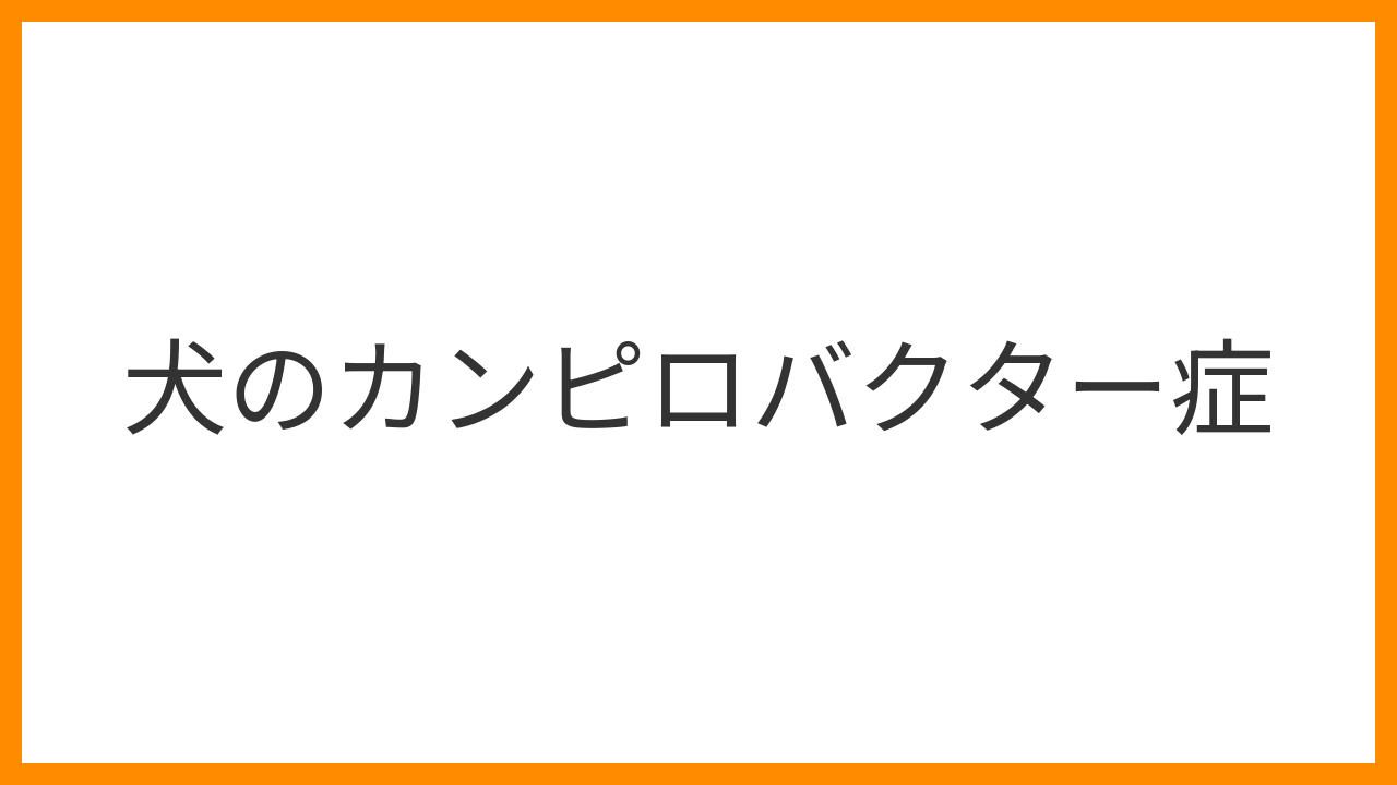 【犬のカンピロバクター症】血の混じった下痢・発熱は人にもうつる危険！原因・糞便検査・抗菌薬治療と予防を解説