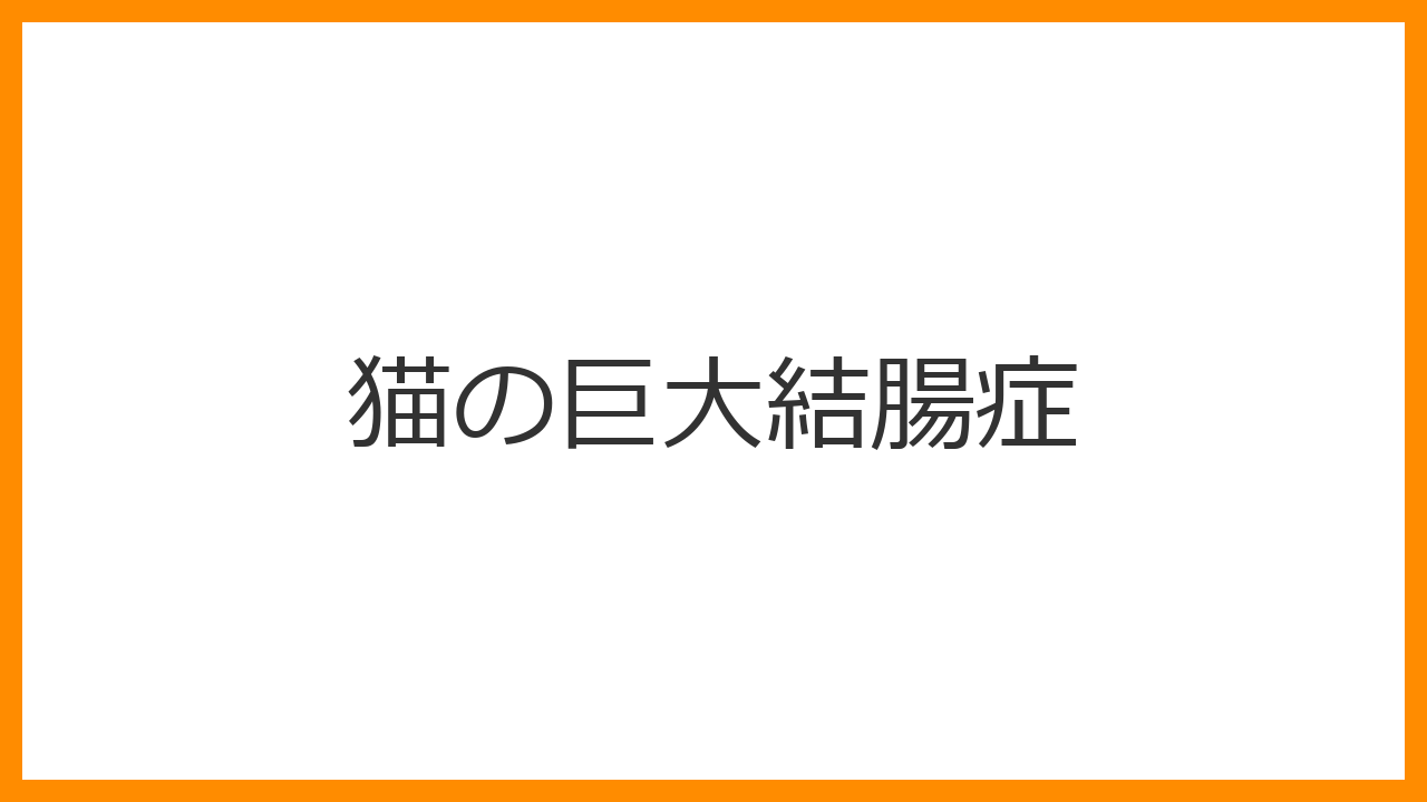 【猫の巨大結腸症】の症状、原因、治療費用と外科手術（結腸切除）の選択を解説