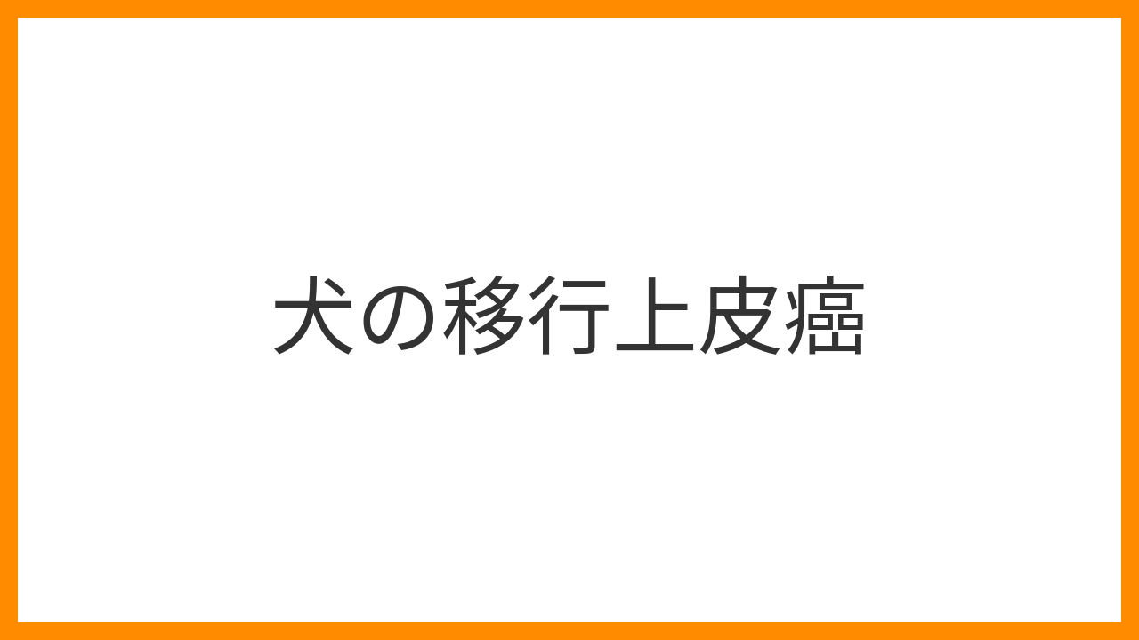 【犬の移行上皮癌（膀胱がん）】頻尿・血尿・排尿困難は要注意！原因・超音波診断・NSAID治療と外科手術を解説