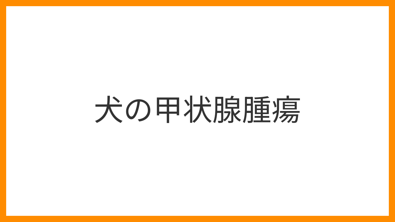 【犬の甲状腺腫瘍】首のしこり・嚥下困難・声の変化は要注意！原因・超音波診断・外科手術と放射性ヨウ素治療を解説