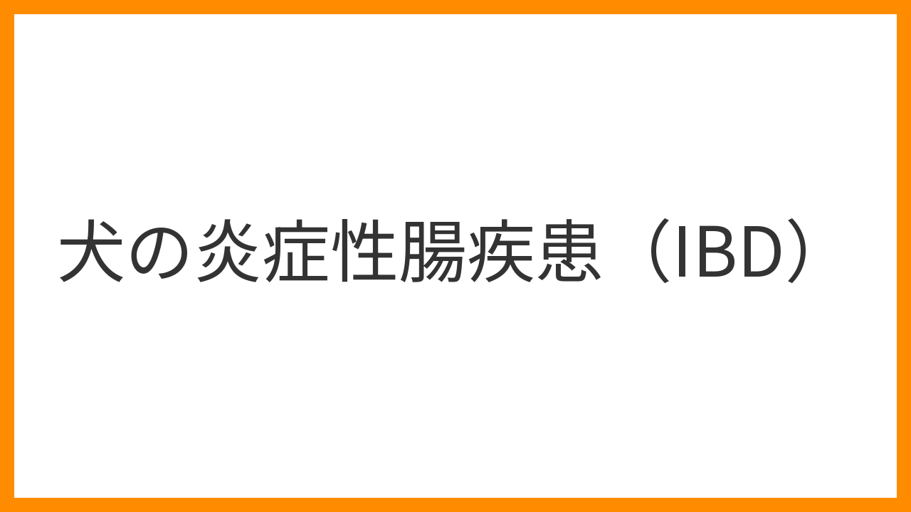 【犬の炎症性腸疾患（IBD）】慢性の下痢・嘔吐・体重減少は腸の慢性炎症のサイン？原因・内視鏡診断・食事療法とステロイド治療を解説