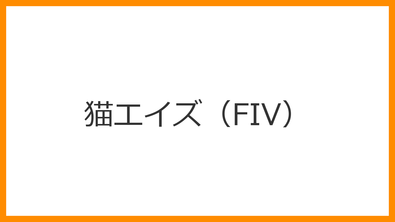 【猫エイズ（FIV）】感染しても長く生きられる？無症状期の管理・口内炎への全顎抜歯・ストレスゼロ生活で愛猫を守る方法を解説