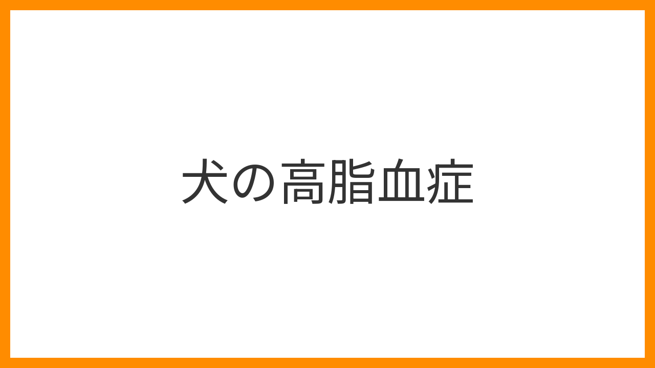 【犬の高脂血症】血液が白く濁る「脂肪血」は見えない内臓ダメージのサイン？膵炎・動脈硬化リスクと食事管理・薬物療法を解説