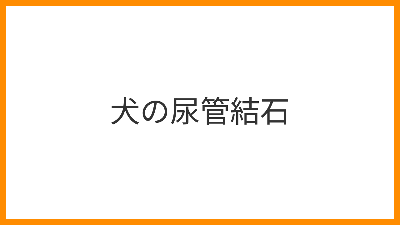 【犬の尿管結石】急性腎不全を引き起こす尿路閉塞は緊急事態！結石の種類・外科的治療・再発防止を詳しく解説