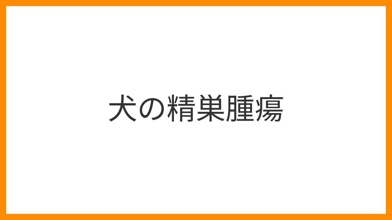 犬の精巣腫瘍 アイキャッチ