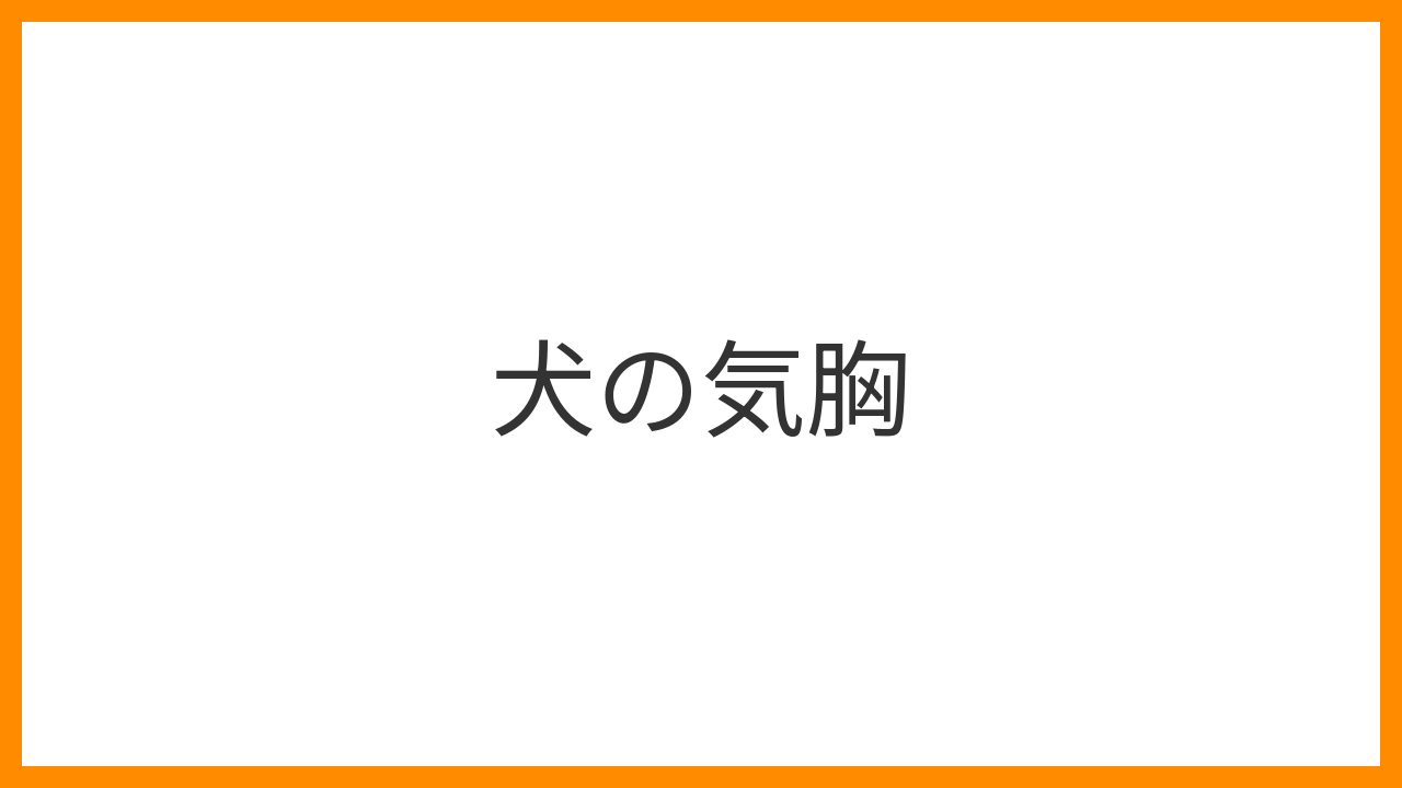 【犬の気胸】突然の呼吸困難・チアノーゼは胸腔内空気漏出の緊急事態！原因・診断・胸腔穿刺と外科治療を詳しく解説