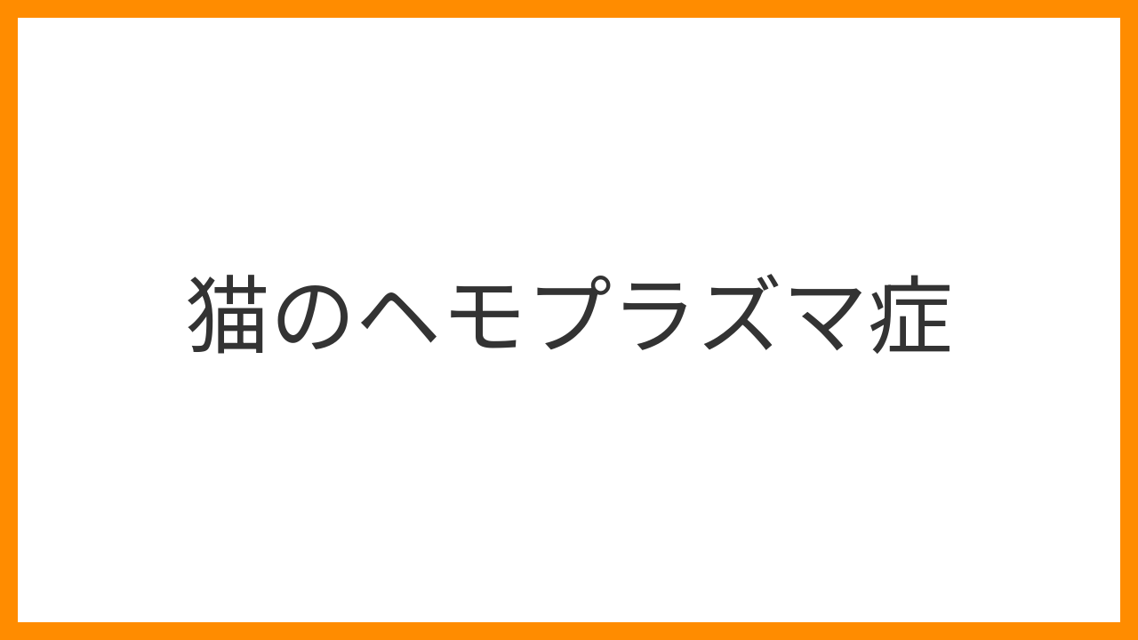 【猫のヘモプラズマ症】元気消失・黄疸・急激な貧血は赤血球寄生菌の危機！ノミ・マダニ感染経路と抗菌薬治療を詳しく解説