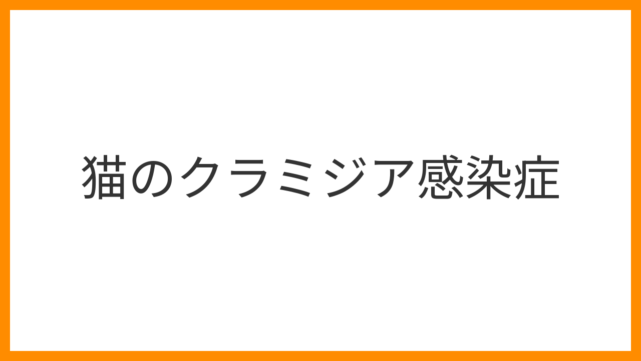 【猫のクラミジア感染症】目やに・結膜の充血・くしゃみが続くのは細胞内寄生菌感染のサイン！診断・ドキシサイクリン治療と多頭飼育対策を詳しく解説