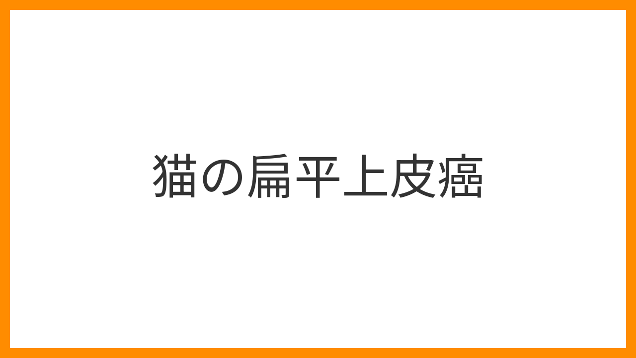 【猫の扁平上皮癌】口・鼻・耳の潰瘍が治らないのは危険なサイン！原因・診断・外科手術と緩和ケアを解説