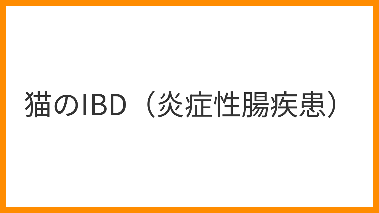 【猫のIBD（炎症性腸疾患）】慢性の嘔吐・下痢・体重減少が治らないのは要注意！生検による病型確定と食事・薬物療法を解説