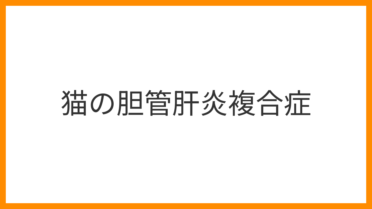 【猫の胆管肝炎複合症】黄疸・食欲廃絶・嘔吐は緊急事態！3疾患が同時進行する診断・抗菌薬・免疫抑制療法を解説